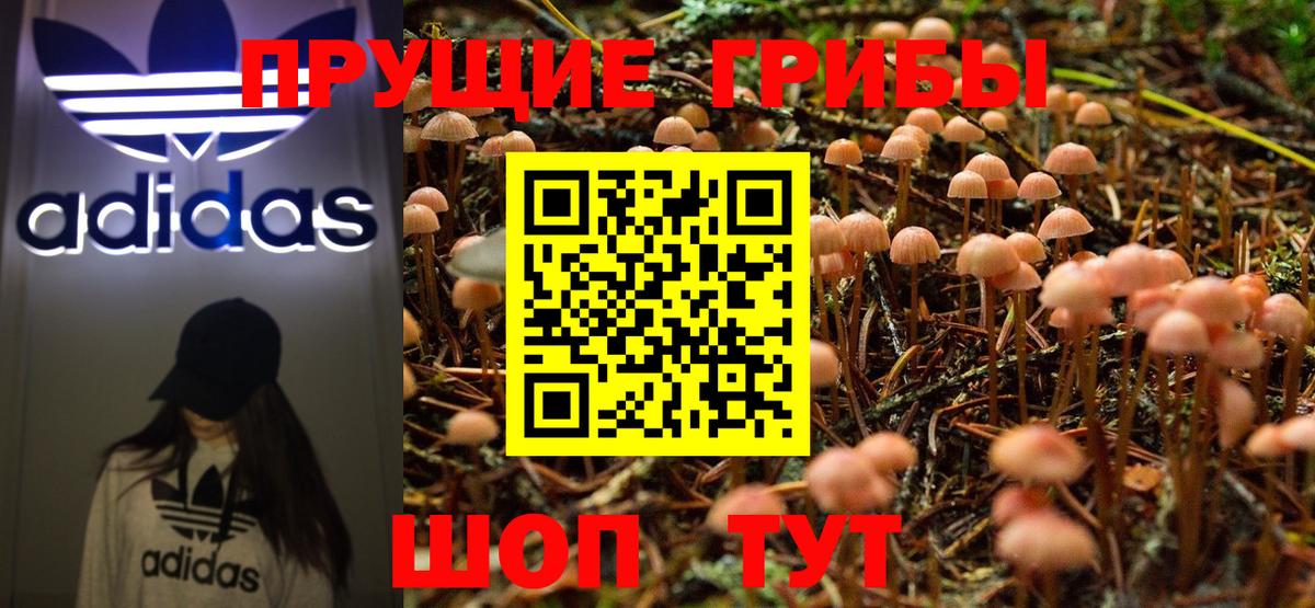 Семилуки  Псилоцибиновые грибы Cubensis  Галлюциногенные грибы ЛСД  Вход с VPN 