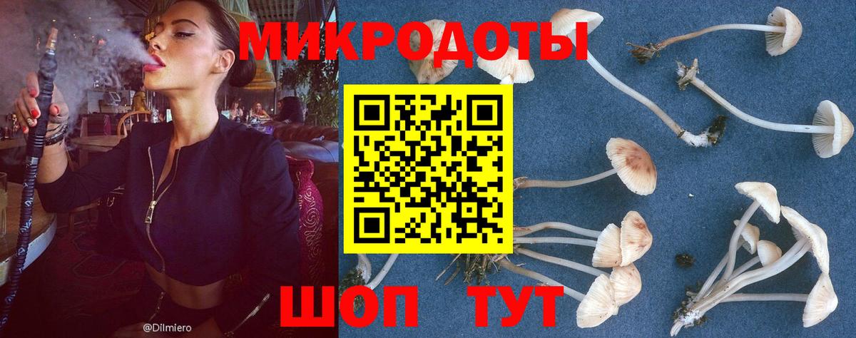 Псилоцибиновые грибы Cubensis Семилуки