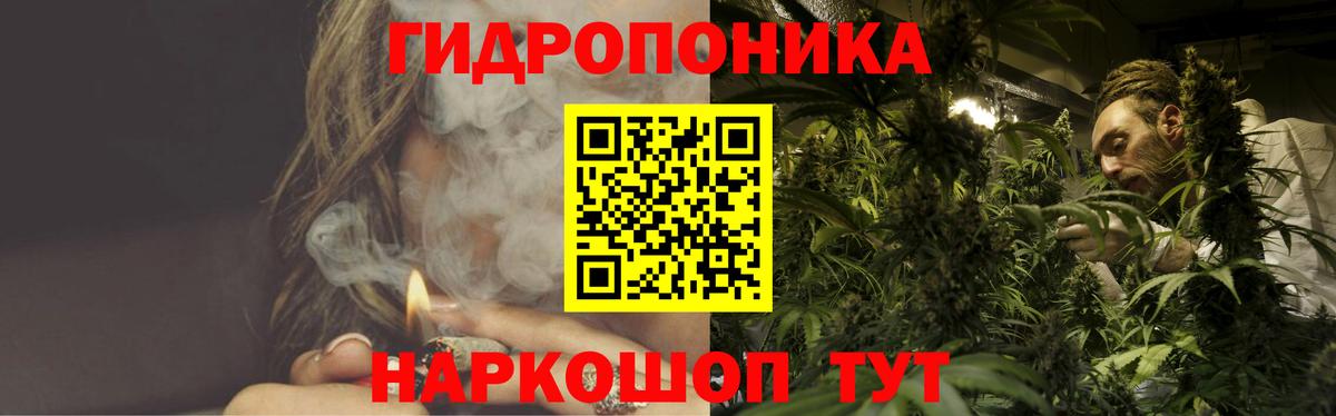 Бошки марихуана Bruce Banner Семилуки
